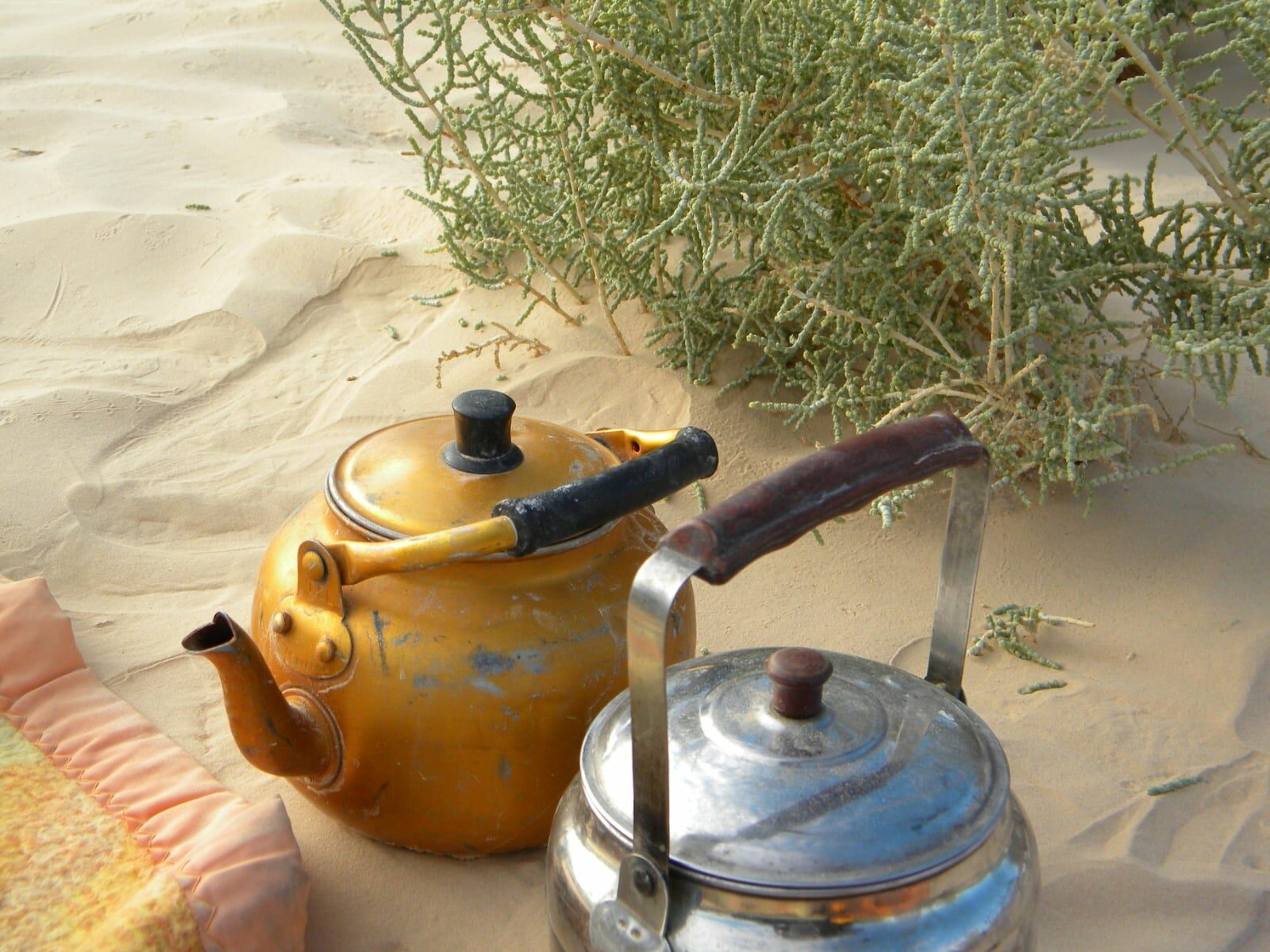 Thé dans le desert
