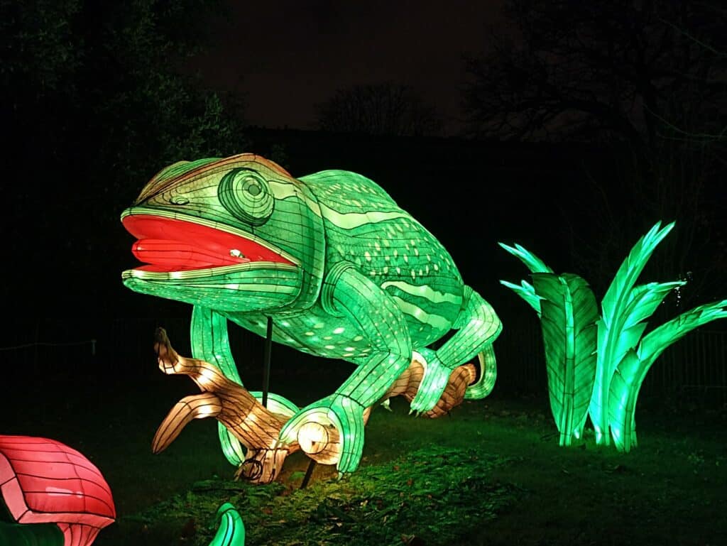 Illuminations au jardin des Plantes