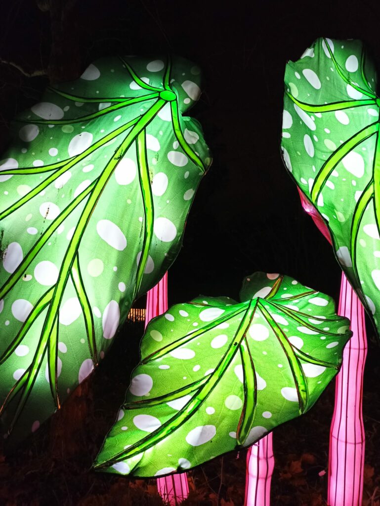 Illuminations au jardin des Plantes