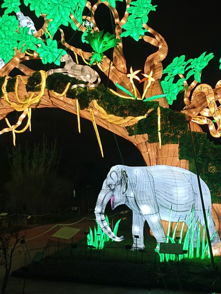 Illuminations au jardin des Plantes