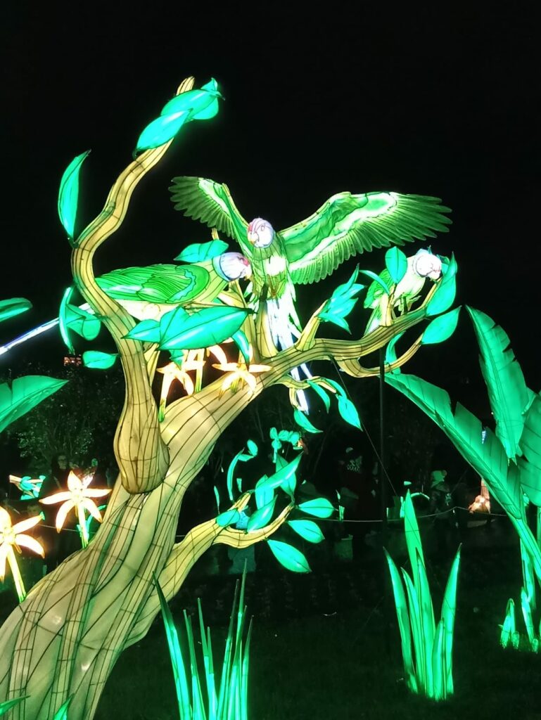 Illuminations au jardin des Plantes