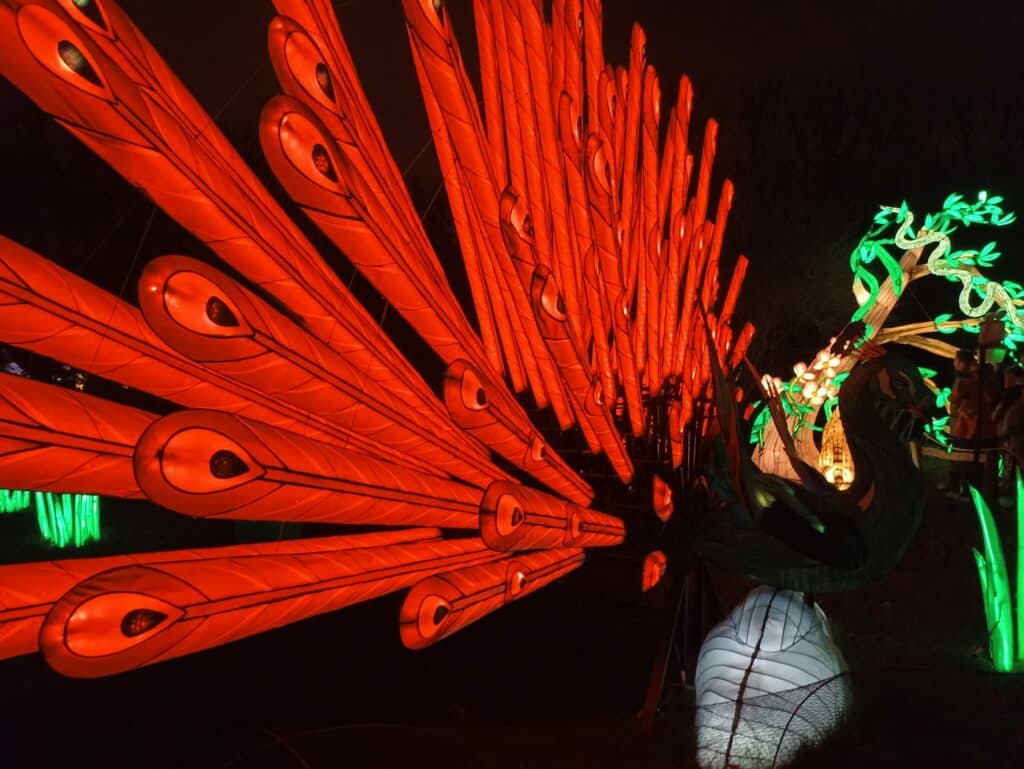 Illuminations au jardin des Plantes